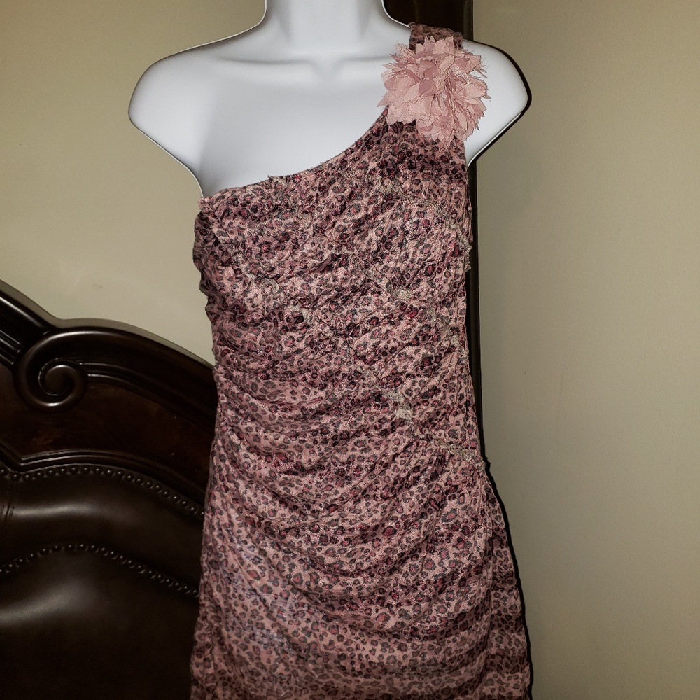 Leopard print Mauve pink Dress